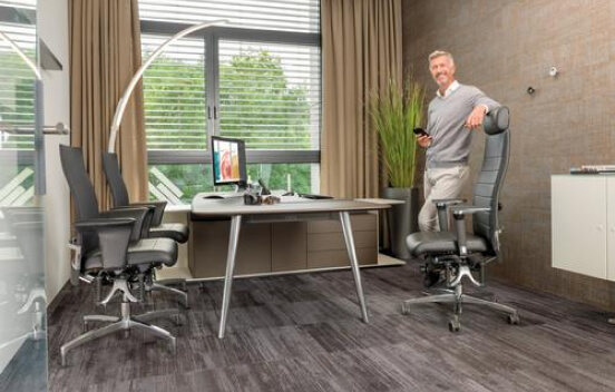 Büro Konzept Büro Konzept - Haider Bioswing